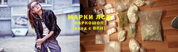 СК Краснослободск