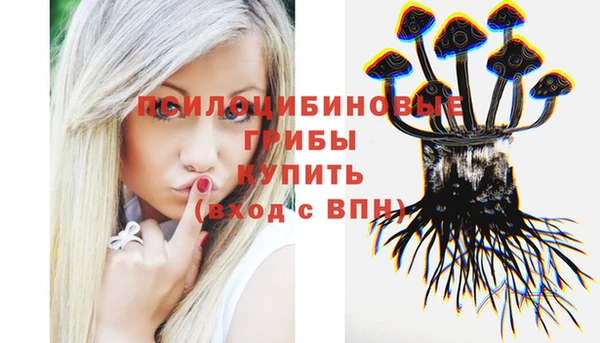СК Краснослободск