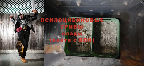 СК Краснослободск