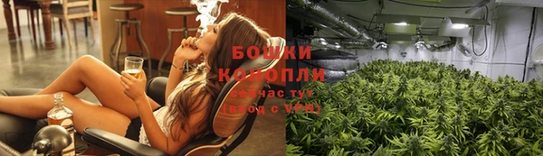 СК Краснослободск